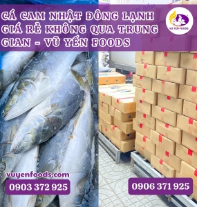 NHẬP SỈ CÁ CAM NHẬT ĐÔNG LẠNH GIÁ TỐT TẠI HCM