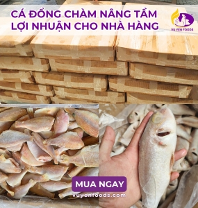 KHO SỈ CÁ ĐỔNG CHÀM ĐÔNG LẠNH GIÁ RẺ TẠI TPHCM