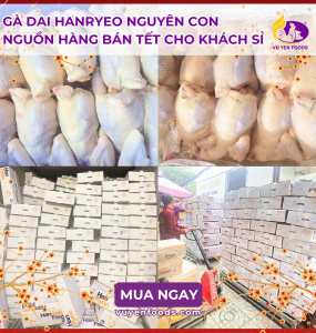 NHẬP SỈ GÀ HANRYEO ĐÔNG LẠNH Ở ĐÂU UY TÍN 