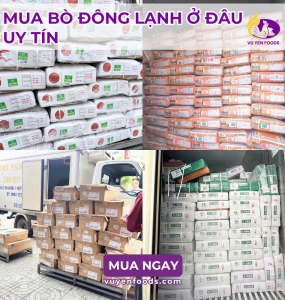 NHÀ CUNG CẤP BÒ ĐÔNG LẠNH UY TÍN TẠI TPHCM