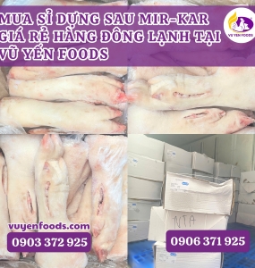 NHẬP SỈ DỰNG SAU MIKA GIÁ RẺ TẠI HCM