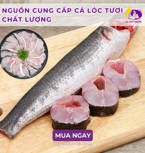 CUNG CẤP SỈ CÁ LÓC TƯƠI SỐ LƯỢNG LỚN TẠI HCM