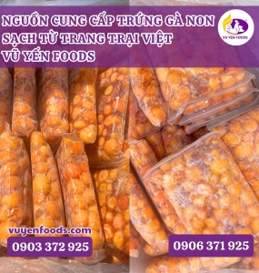NHẬP SỈ TRỨNG GÀ NON ĐÔNG LẠNH GIÁ SỈ