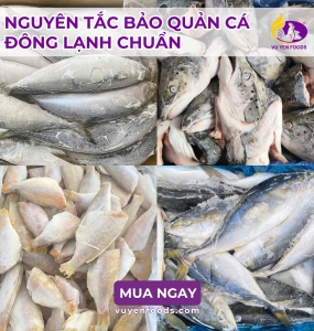 CÁCH BẢO QUẢN CÁ ĐÔNG LẠNH CHUẨN NHÀ HÀNG