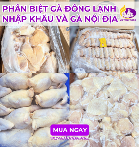 NÊN CHỌN GÀ ĐÔNG LẠNH NHẬP KHẨU HAY GÀ NỘI ĐỊA