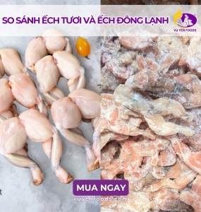 KHO SỈ ẾCH TƯƠI VÀ ẾCH ĐÔNG LẠNH TPHCM