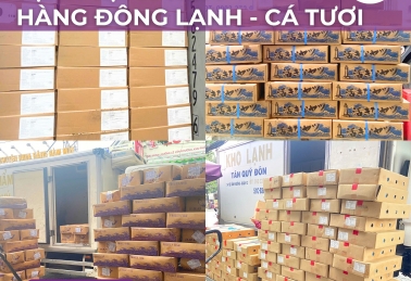 CỬA HÀNG HẢI SẢN ĐÔNG LẠNH VÀ CÁ TƯỢI CHO NHÀ HÀNG, BẾP ĂN, HỘ GIA ĐÌNH