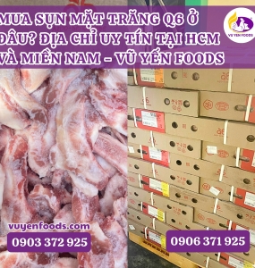 NHẬP SỈ SỤN MẶT TRĂNG Q6 GIÁ RẺ TẠI HCM
