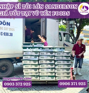 KHO SỈ TỎI GÀ LỚN SANDERSON GIÁ RẺ TẠI KHU VỰC MIỀN NAM