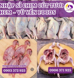 CÔNG TY NHẬP SỈ CHIM CÚT TƯƠI